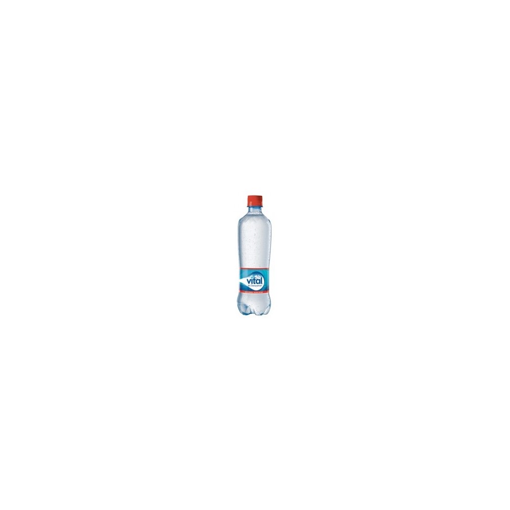 AGUA MINERAL SIN GAS 600ML VITAL AGUA MINERAL SIN GAS 600ML VITAL