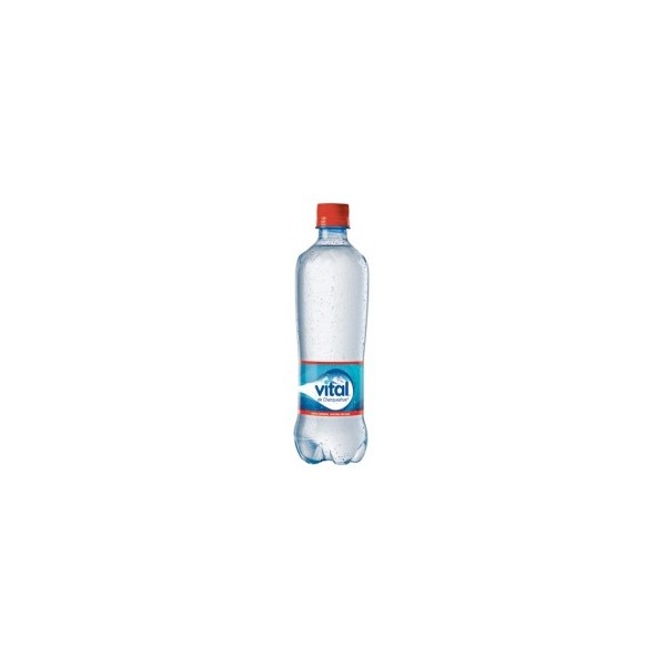 AGUA MINERAL SIN GAS 600ML VITAL     