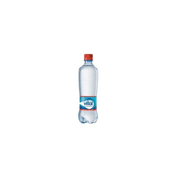 12x Agua Mineral Vital Sin Gas Botella 600cc