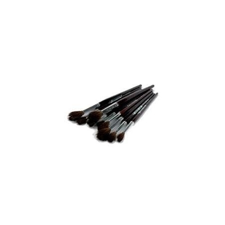 PINCEL PELO DE CAMELLO N12
