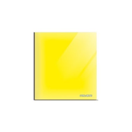 CARPETA PLASTIFIC C/GUSANO AMARILLO PROARTE 25277i