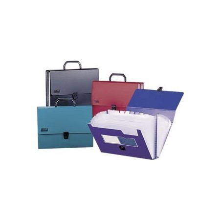 CARPETA FUELLE CARTA 13 DIVISIONES 32119 BUHOi