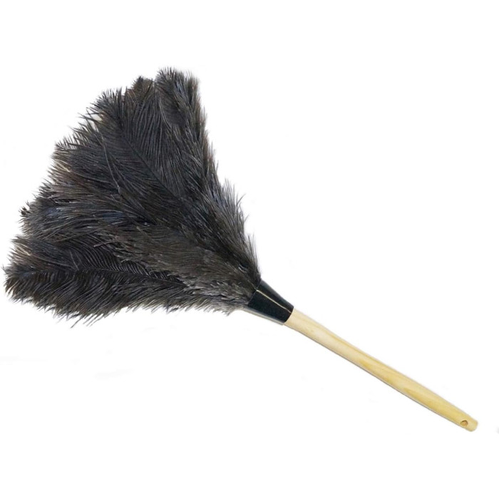 PLUMERO AVEZTRUZ GRANDE 50 CM