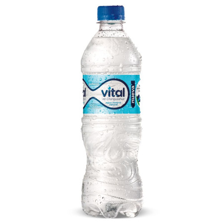 AGUA MINERAL 600 ML CON GAS - VITAL