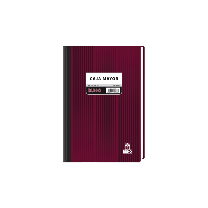 LIBRO CAJA 100 HJS ART 578...