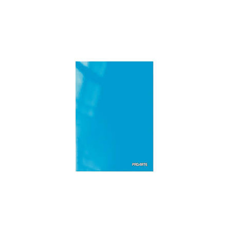 CARPETA PLASTIFICADA CELESTE PROARTE