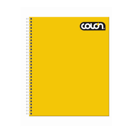 CUADERNO UNIVERSITARIO COMPOSICION 100 HJS COLON